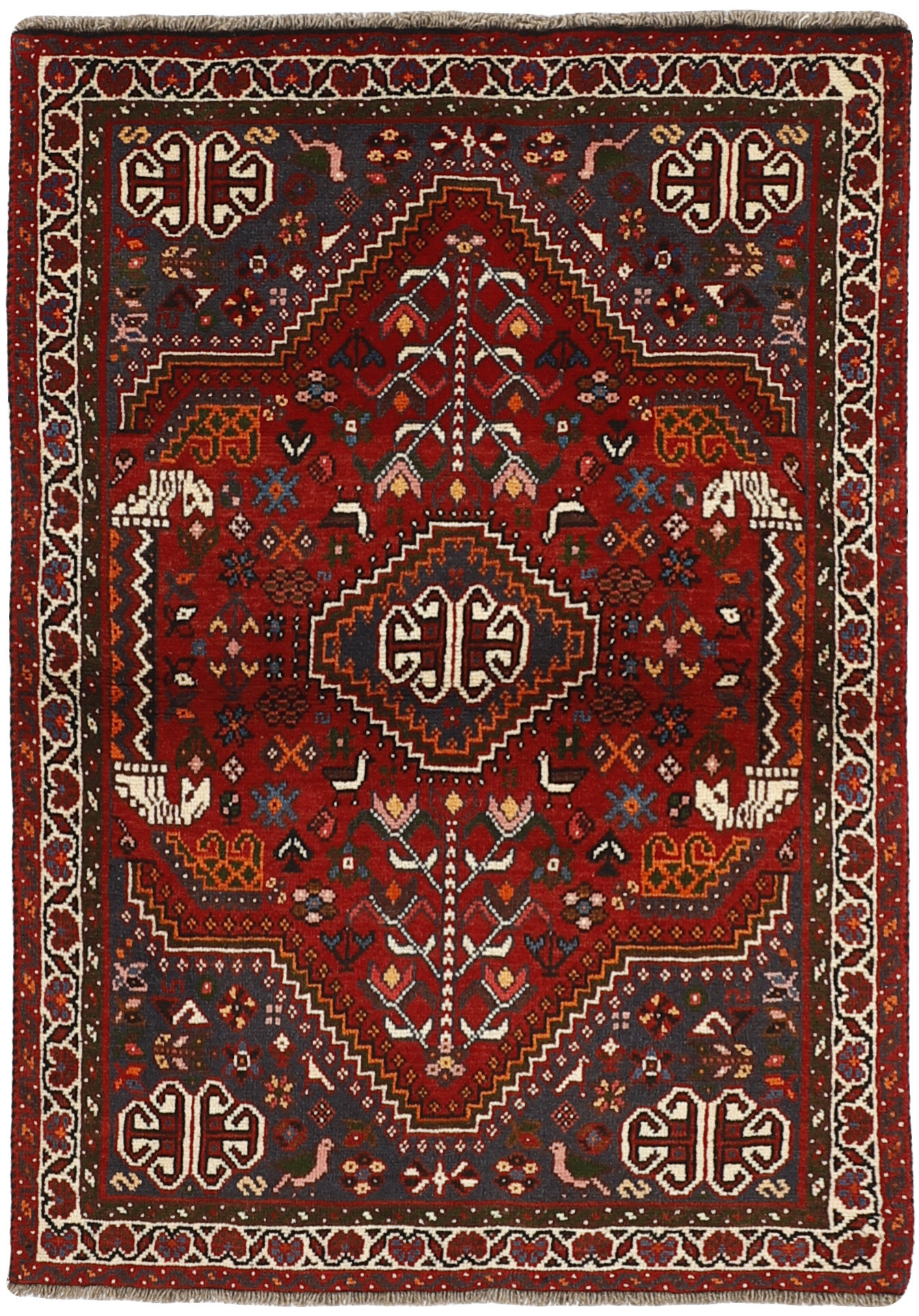 Shiraz Shiraz
