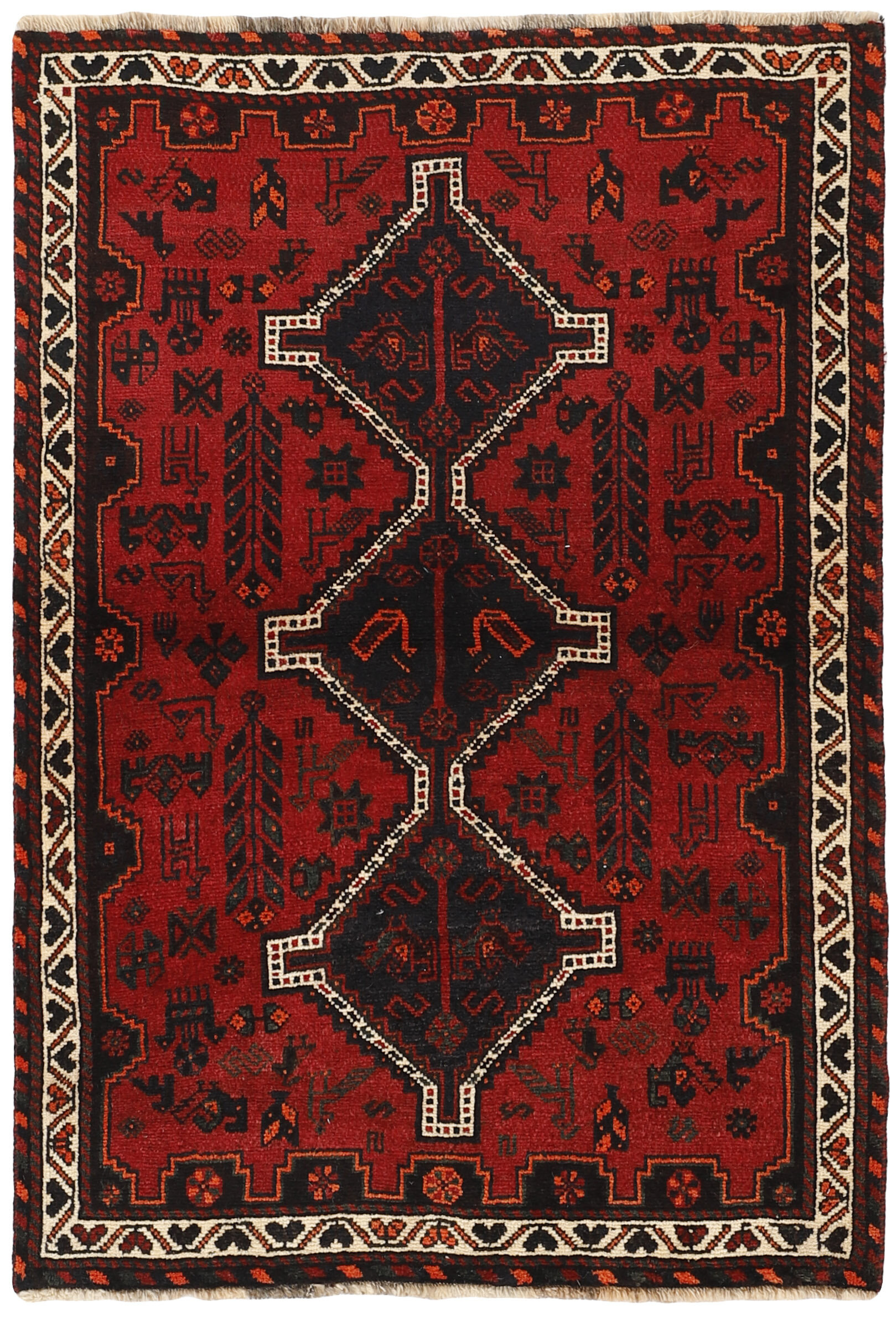 Shiraz Shiraz