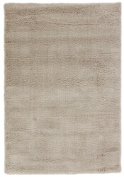 Everyday Harmony Everyday Harmony