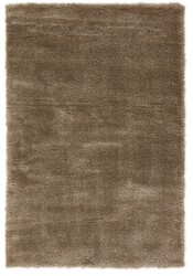 Everyday Harmony Everyday Harmony