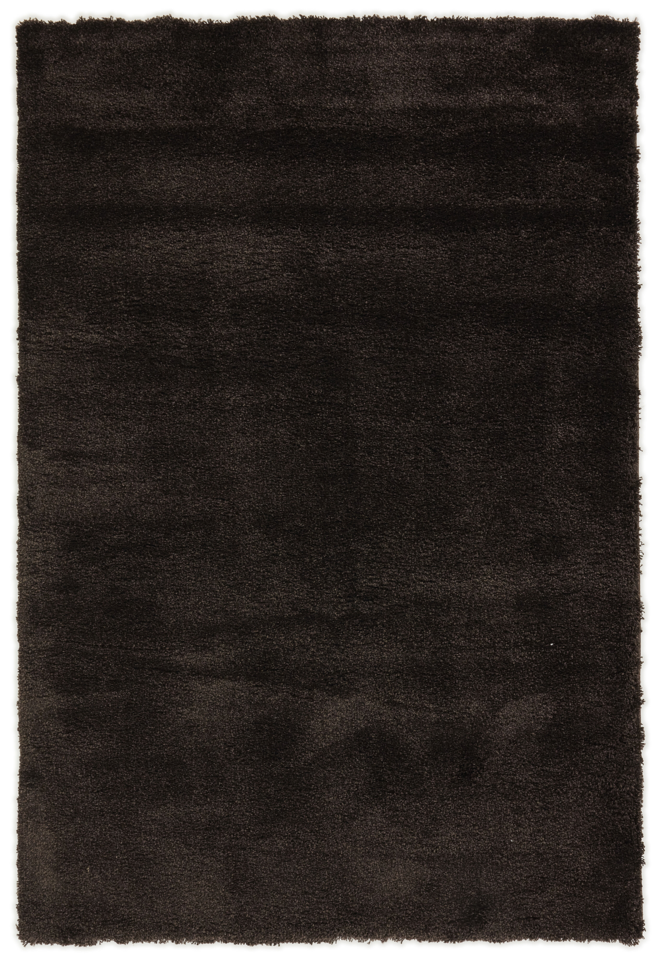 Everyday Harmony Everyday Harmony