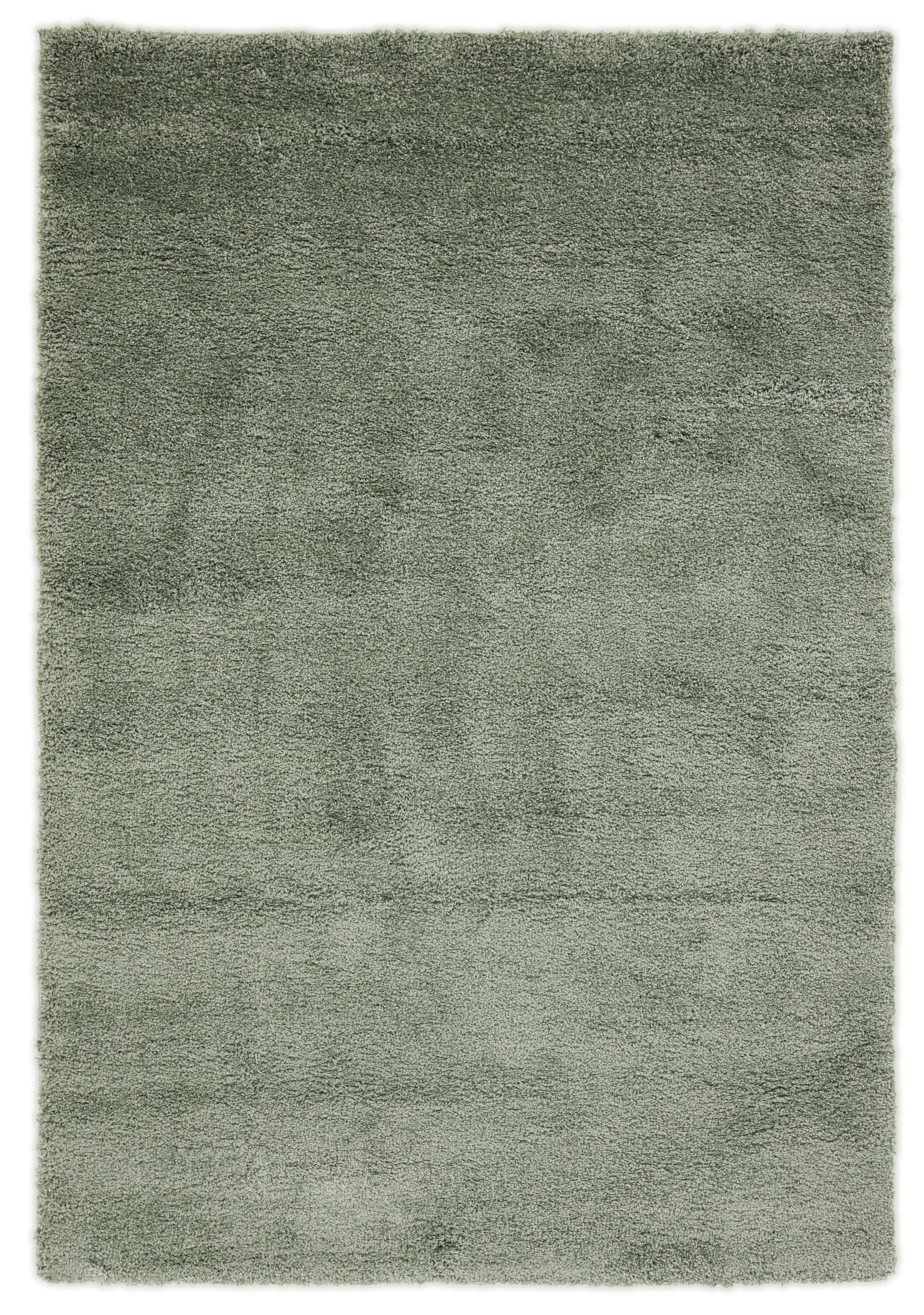 Everyday Harmony Everyday Harmony